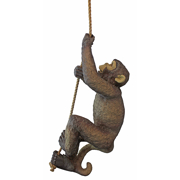Image Thumbnail for MAKOKOU THE CLIMBING MONKEY